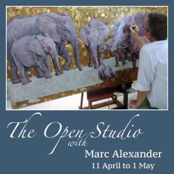 The Studio Art Gallery - Icon Image - The Open Studio - A Solo Exhibition by Marc Alexander
