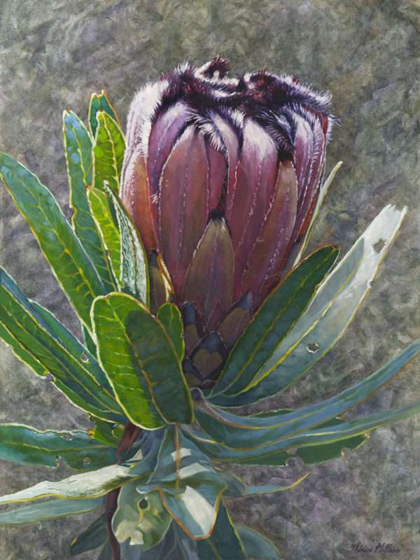 The Studio Art Gallery - Eco-Logic Awards 2019 - Artist for Nature Exhibition - Therese Mullins - And Still You Bloom