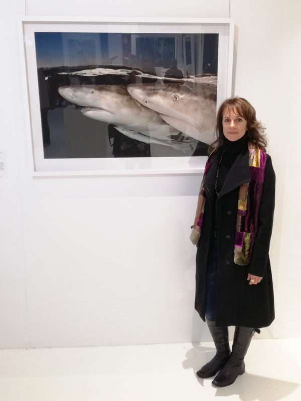 The Studio Art Gallery - Eco-Logic Awards 2019 - Artists for Nature Exhibition Pic 36 - Lesley Rochat