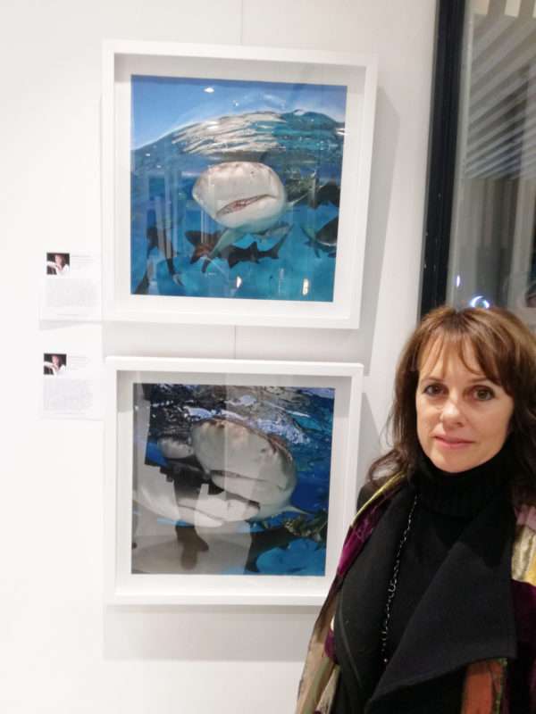 The Studio Art Gallery - Eco-Logic Awards 2019 - Artists for Nature Exhibition Pic 37 - Lesley Rochat