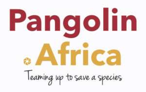 The Studio Art Gallery - Pangolin Africa Logo