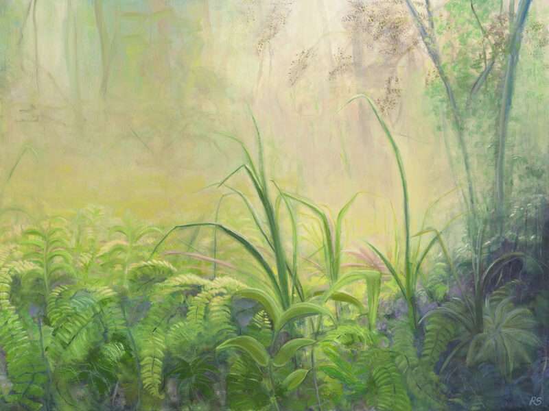 The Studio Art Gallery | Eco-Logic Awards | Robyn Schoon | The Clearing